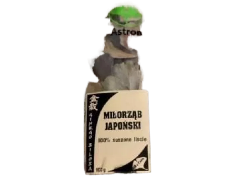 Astron Suszone liście miłorzębu, zioła do zaparzania, 100 g