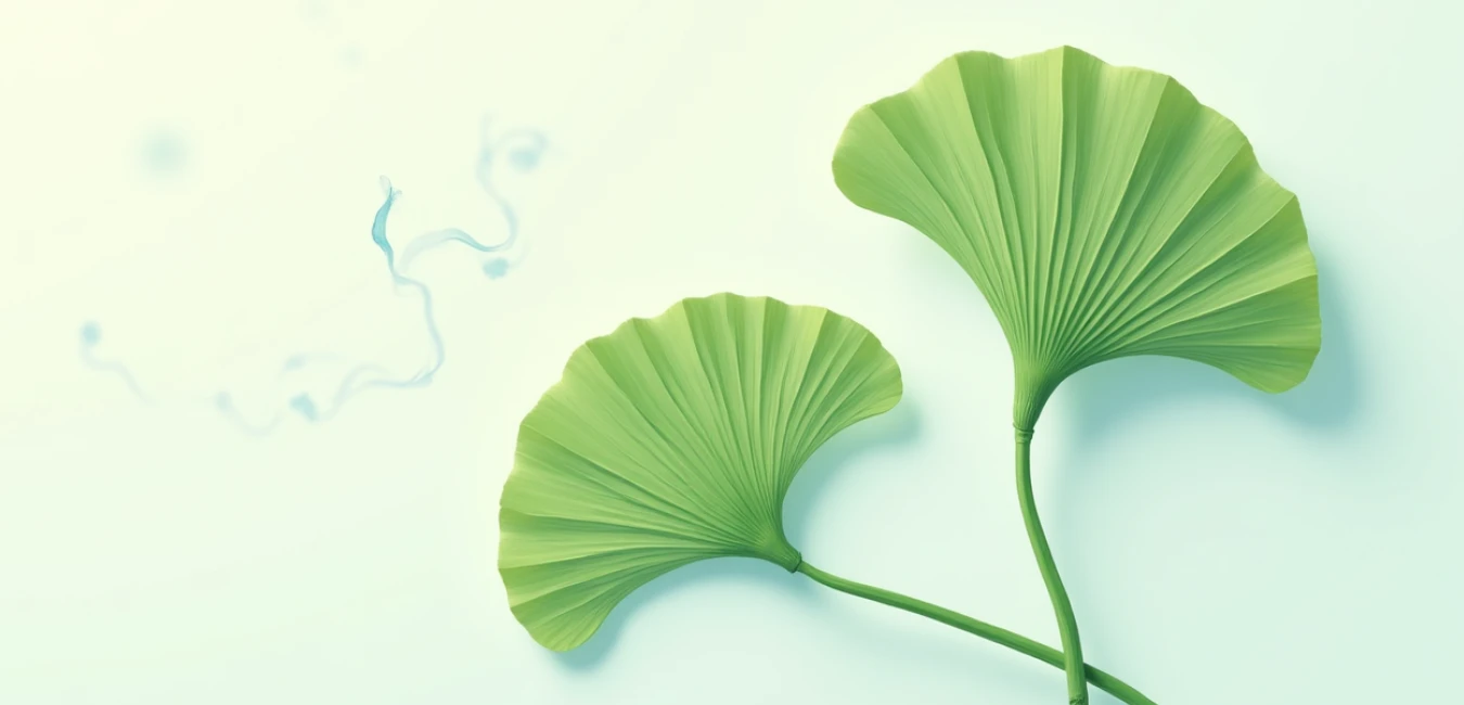 Ginkofar czy Bilobil – który preparat z miłorzębem wybrać?