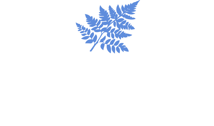 Felce Azzurra